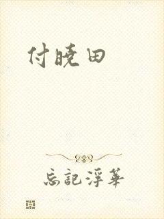 付晓田