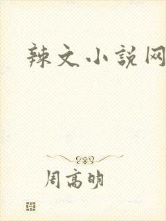 辣文小说网