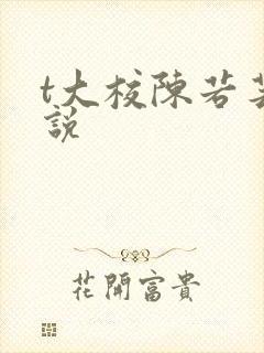 t大校陈若芸小说
