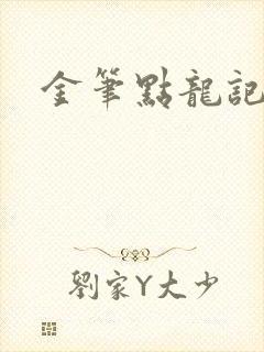 金笔点龙记封面