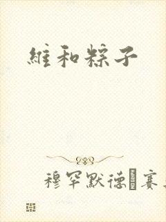 维和粽子