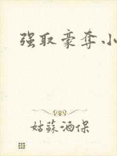 强取豪夺小说