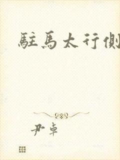 驻马太行侧封面