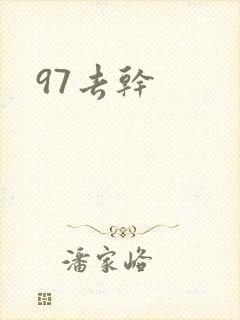 97去干封面