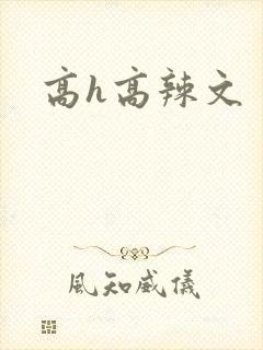高h高辣文