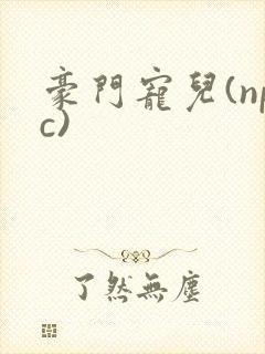 豪门宠儿(npc)