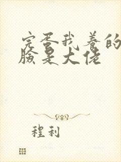 完蛋我养的小白脸是大佬