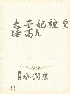 太子妃被皇上强睡高h