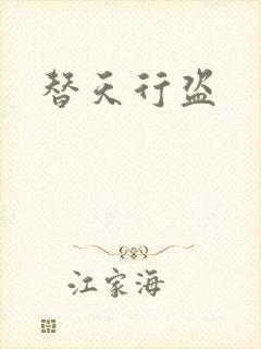 替天行盗