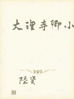 大理寺卿小说
