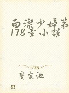 白洁少妇第1一178章小说