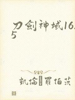 刀剑神域16.5