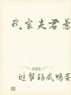 我家夫君惹不起