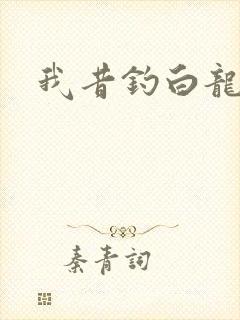 我昔钓白龙封面