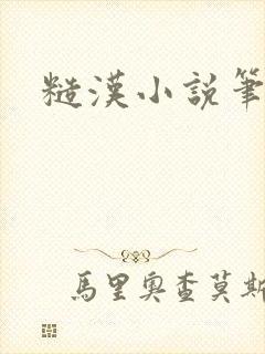 糙汉小说笔趣阁封面