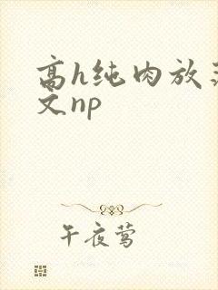 高h纯肉放荡h文np