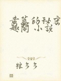 黄蓉的秘密 笔趣阁 小说封面