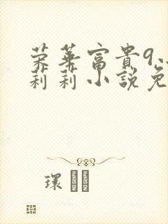 荣华富贵9小王莉莉小说免费阅读
