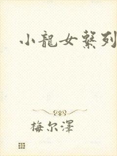 小龙女系列小说