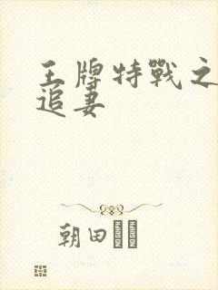 王牌特战之军少追妻
