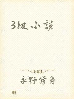 3级小说