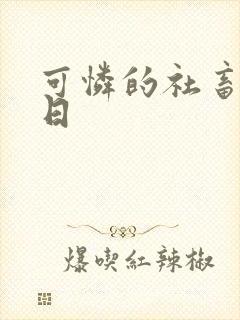 可怜的社畜东度日