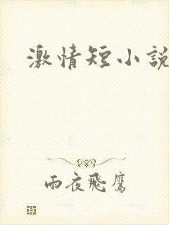 激情短小说封面