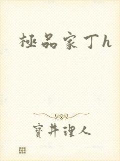 极品家丁h