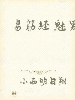 易筋经 魅男封面