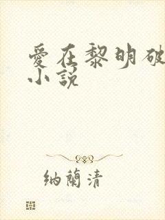 爱在黎明破晓前小说封面