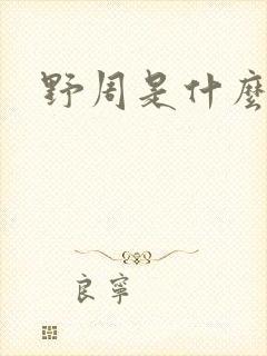 野周是什么意思