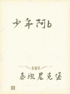 少年阿b