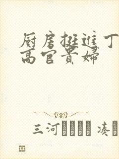 厨房挺进丁字裤高官贵妇