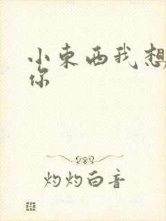 小东西我想弄坏你