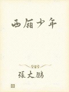 西厢少年