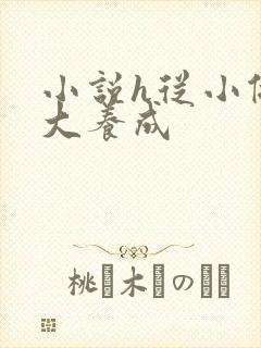 小说h从小做到大养成封面