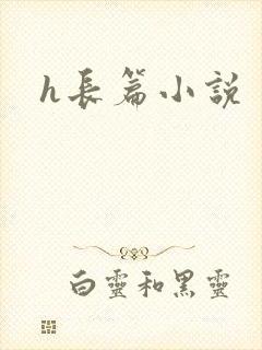 h长篇小说
