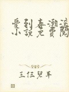爱到春潮滚滚来小说免费阅读封面