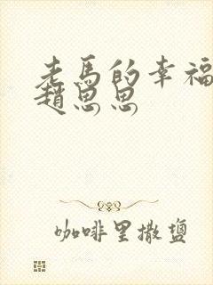 老马的幸福生活赵思思