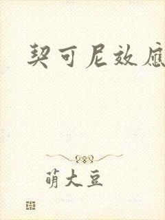契可尼效应封面