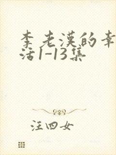 李老汉的幸福生活1-13集
