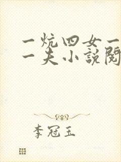 一炕四女一共侍一夫小说阅读
