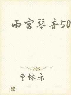 雨宫琴音500