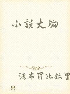 小说大胸