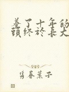 养了十年的小丫头终于长大了