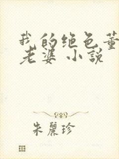 我的绝色董事长老婆 小说