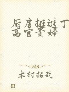 厨房挺进丁字裤高官贵妇