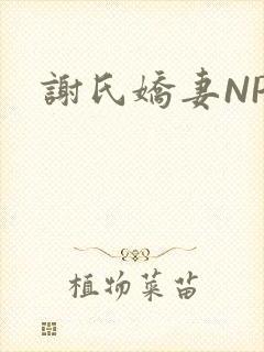 谢氏娇妻NPH