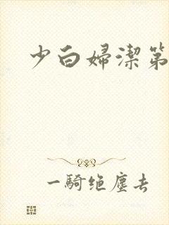 少白妇洁第二部封面
