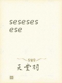 sesesesese封面